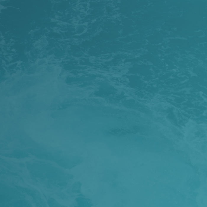 The Fundamentals of ABM