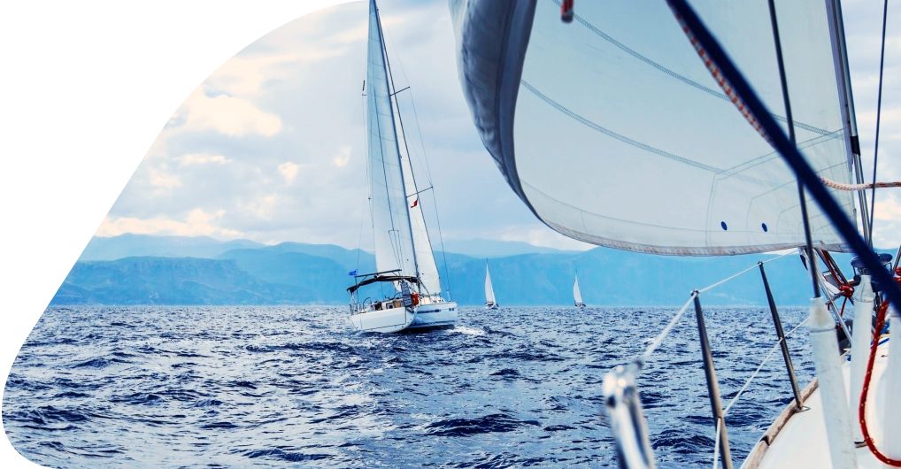 img Synopsis img Synopsis