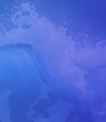 Competitive Displacement: How to Win Market Share by Increasing Discoverability