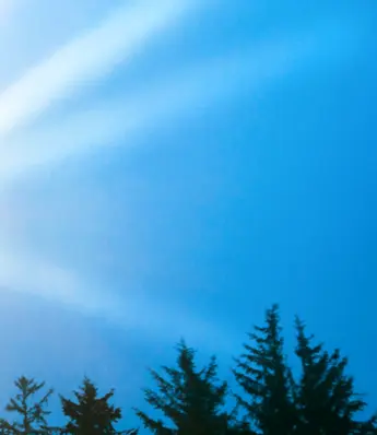 Discoverability-to-Revenue: Building Trust in
an AI-Enabled Era